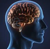 Mental