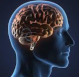 Avatar de Mental